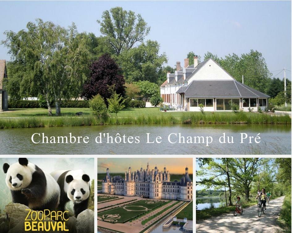 Le Champ du Pré Bed and Breakfast Gièvres Exterior foto